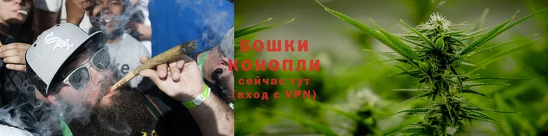 Конопля SATIVA & INDICA  Бузулук 